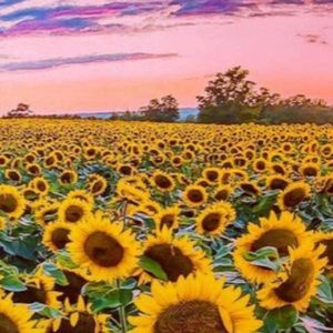 Meet your Posher, Nanda